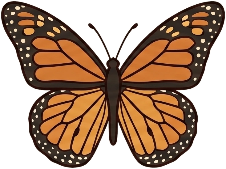 Attracts butterflies